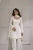 Pakistani Kurti - Product Details